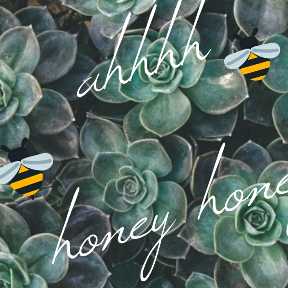 Meet your Posher, Sugar Ahh-honey